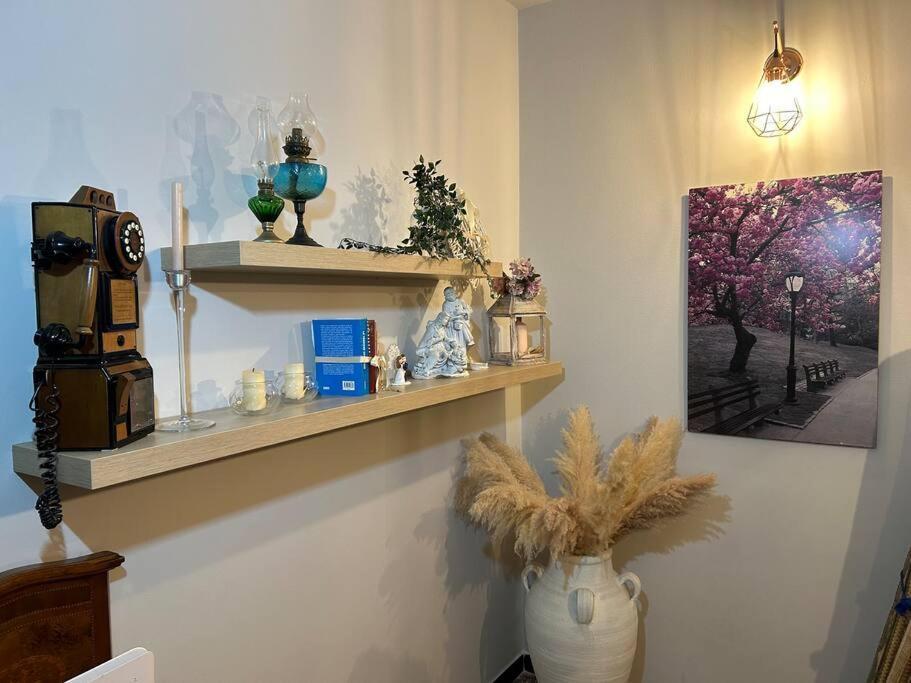 Casa Aly